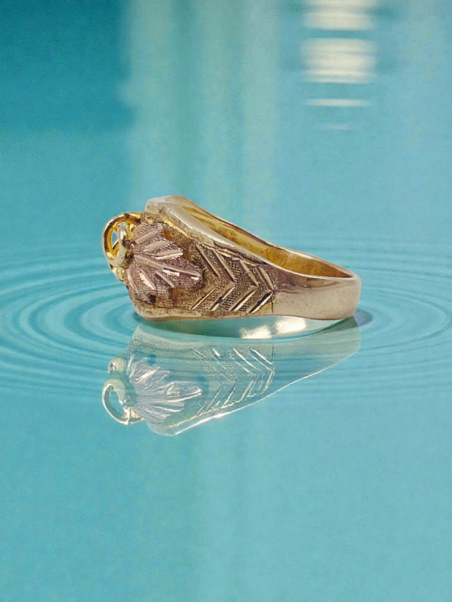 Black Hill Solid 10K Yellow Gold Ring with Tri-Color Grape Leaf Accents Sz 5.25