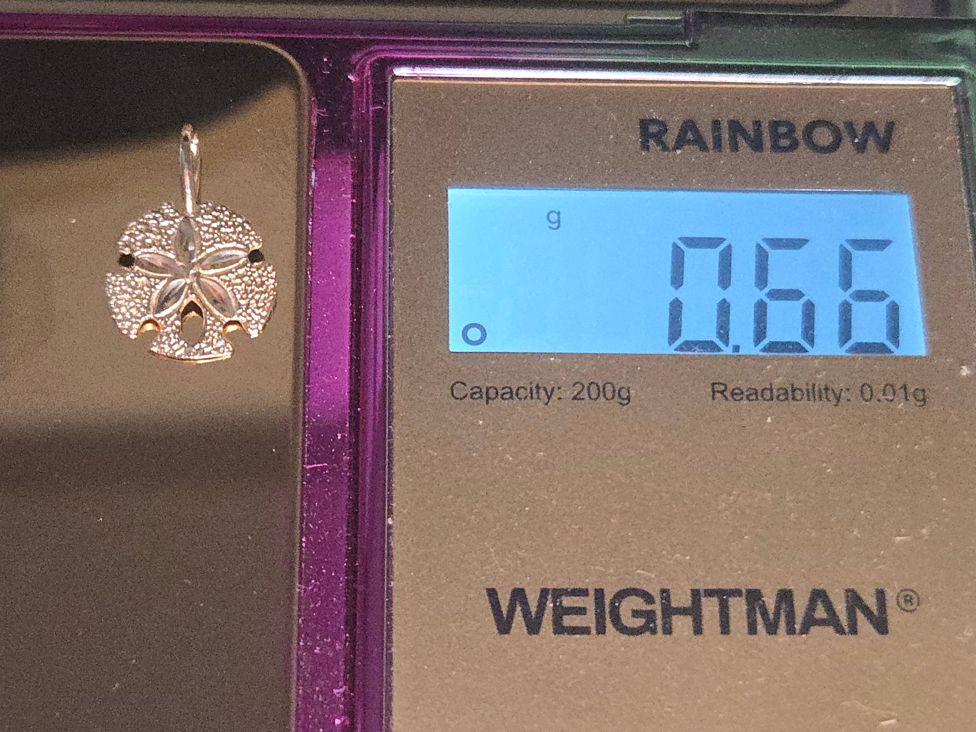 Solid 14K Yellow Gold Sand Dollar Necklace Pendant