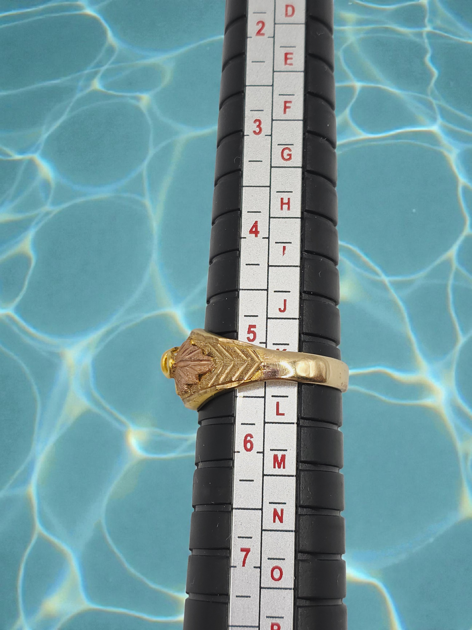 Black Hill Solid 10K Yellow Gold Ring with Tri-Color Grape Leaf Accents Sz 5.25