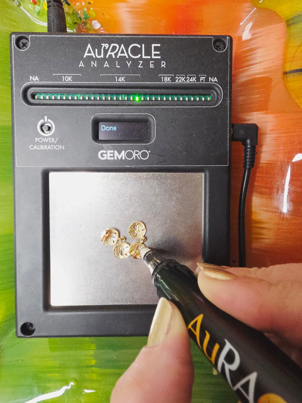 Solid 14K Yellow Gold Sand Dollar Dangle Drop Earrrings Beach